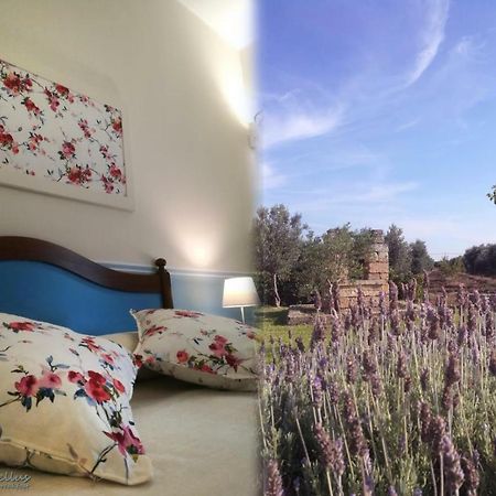 Tenuta Almatellus ตอร์เลลาปิลโล ภายนอก รูปภาพ